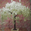 S/2 Cherry Blossom Tree in White (48" H)