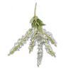 Wisteria Stem