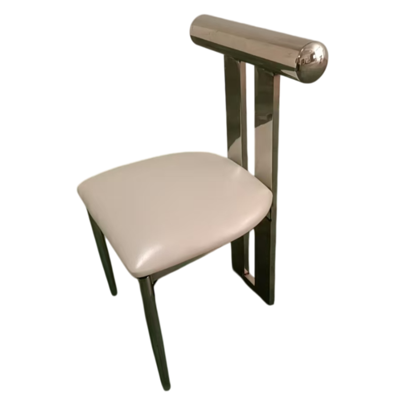 Modern T-Back Stainless Steel Dining Chair On August 10, 2026